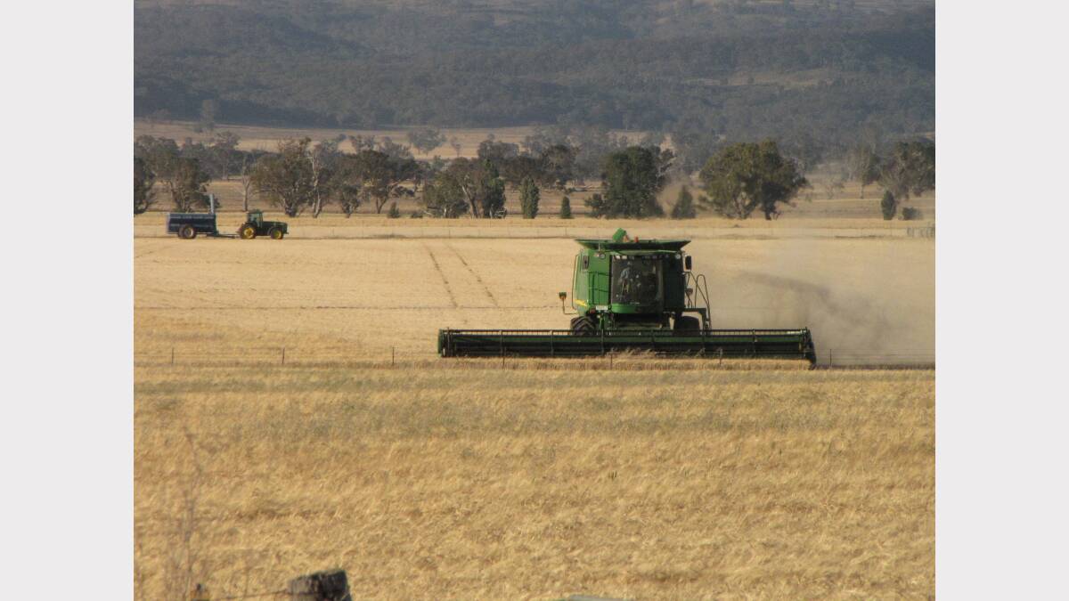 Your Harvest Photos. Photo submitted by Simon Chamberlain. 