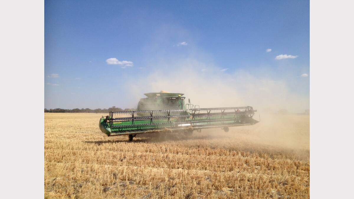 Your harvest photos. Photo submitted by Ruth Simmons. 