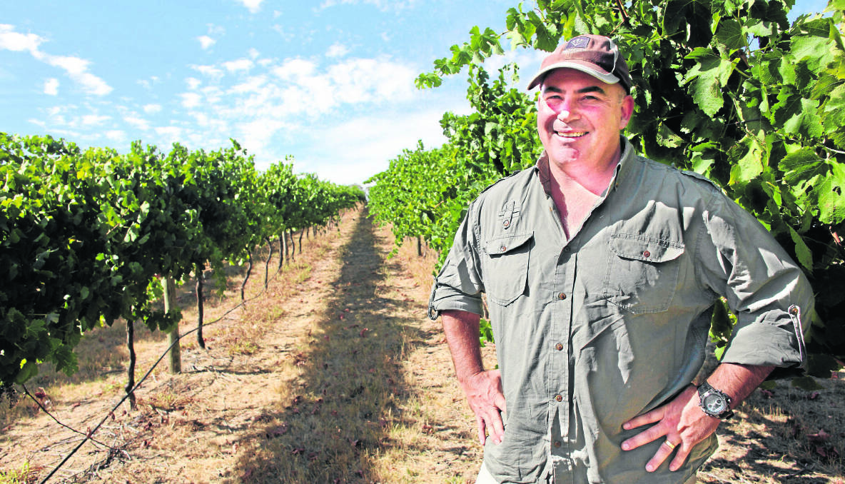 BY THE GRAPEVINE: Local grape grower Jason Brown stands by his fruit at Moppity Vineyards.