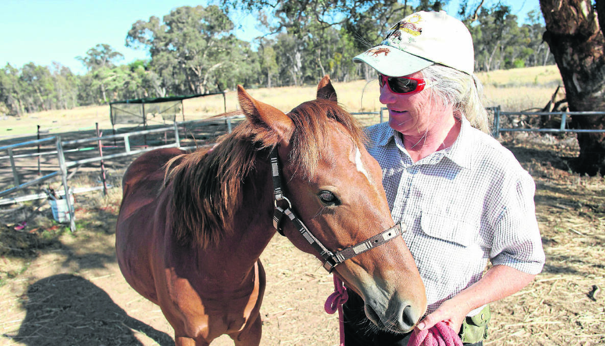 A ‘BRILLIANT LITTLE HORSE’: Colleen Clancy with her one-year-old brumby Bush Hero, named after those fighting the bushfires in NSW at the end of last year.
