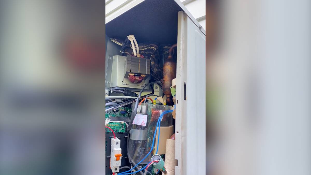 Three snakes found in air conditioning units by Sunshine Coast Snake Catchers. | The Young Witness