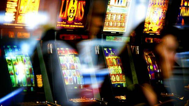 $7,750 an hour was put through Young poker machines in the 2015-16 financial yr. 