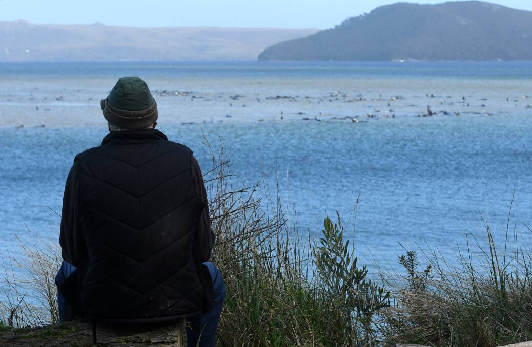 An overlooker watches as efforts to save the whales get under way. Picture: Brodie Weeding