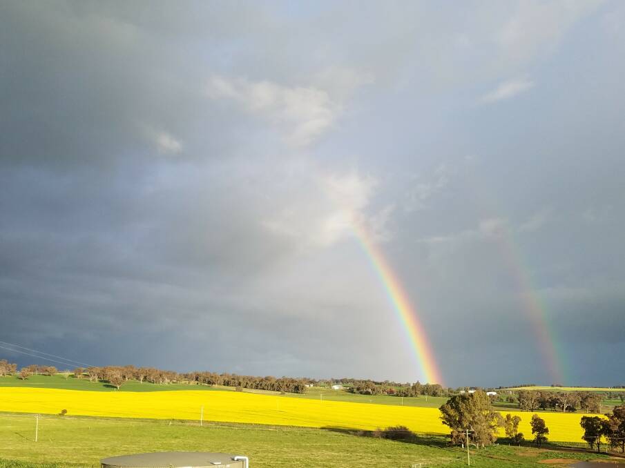SOMEWHERE OVER THE RAINBOW: A rare sight over the past few years, a rainbow over a canola crop between Young and Grenfell. Photo: Ron McLelland.