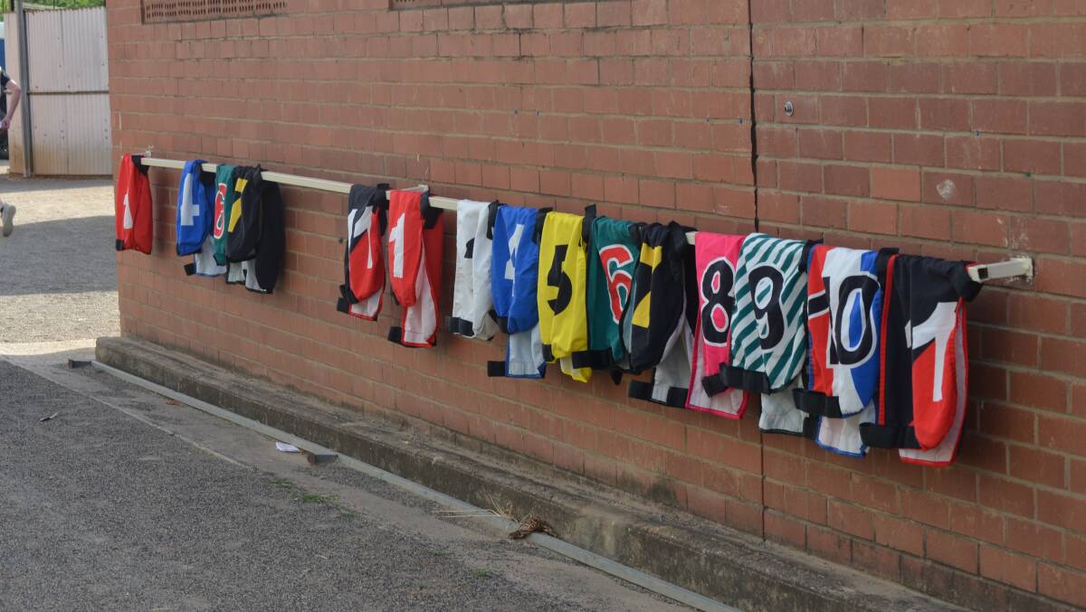 Silks all lined out and ready for racing at the Young Paceway on Tuesday night. Photo: Rebecca Hewson.