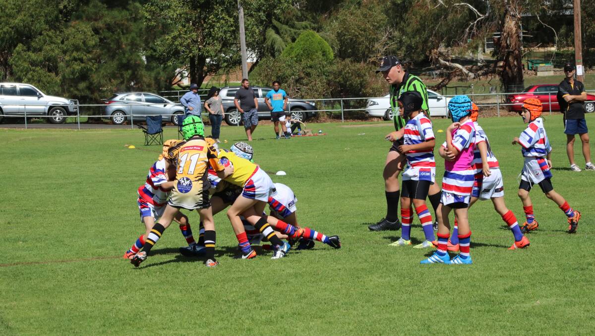 ON A ROLL: Young Junior Rugby League Under 11s Cherrypickers have had a massive start to the season winning its first two games.
