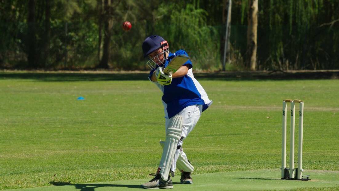 Junior Cricket hits off Saturday