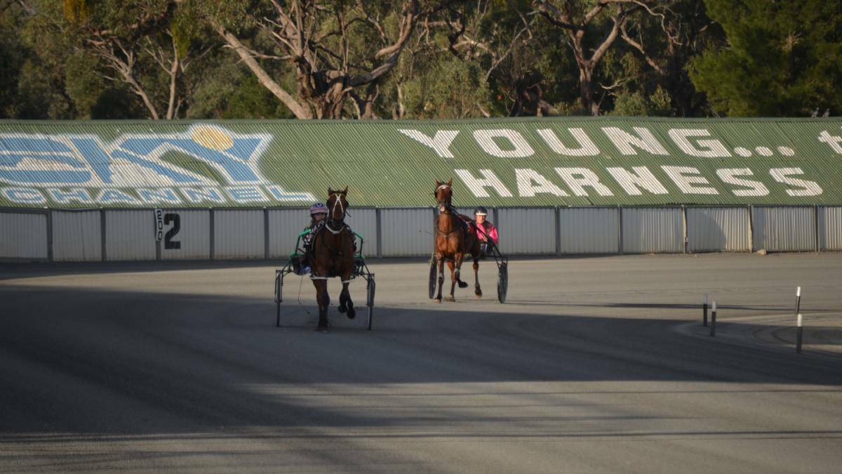 IT IS BACK ON: Local and visiting trainers will be at the Young Paceway on Tuesday night for Young Harness Club's next meeting.