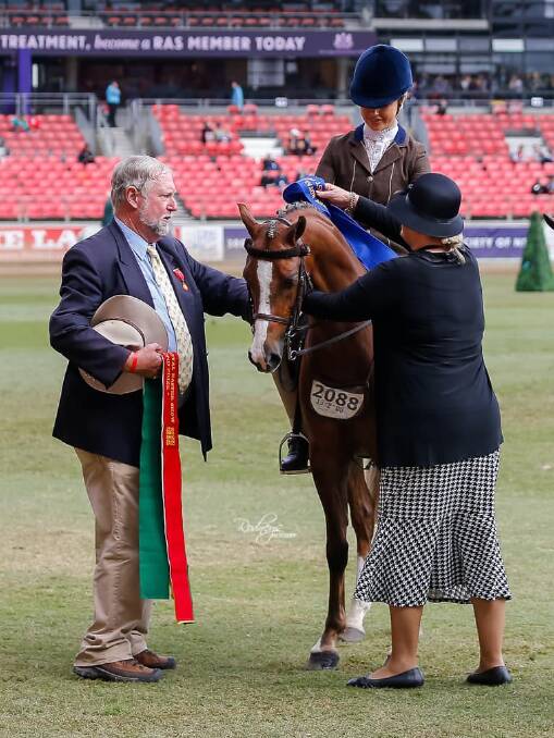 Tori on Bamborough Ari being presented with their first place ribbon at Sydney Royal. Photo: Rodneys Photography.