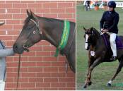 Tom and Ripwheeler on the left and Tom and Emugully Diggers Blaze on the right. Right Photo: Julia McLean.