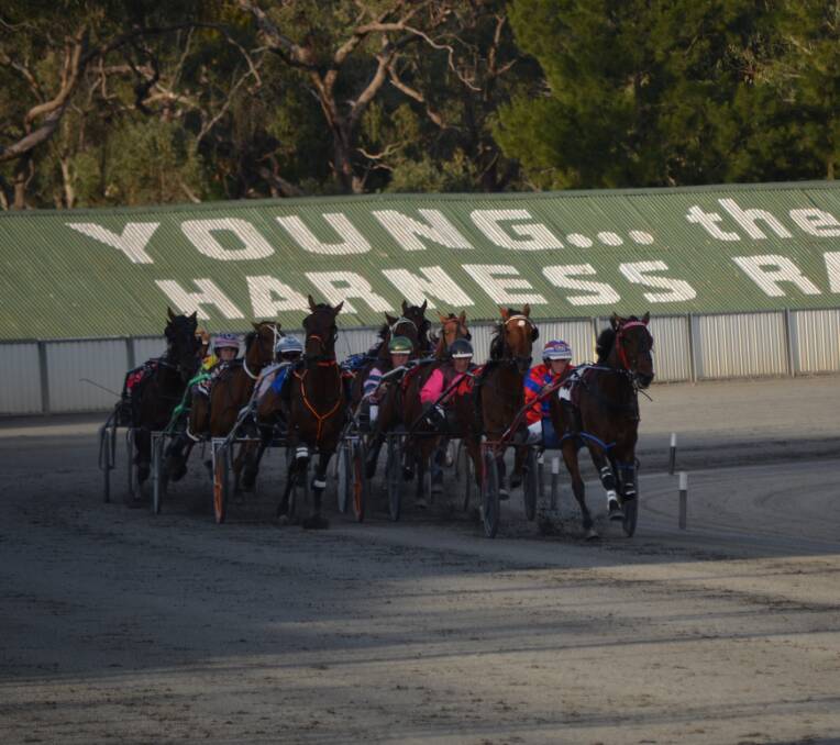 FLYING HOME: Amazingly there were two dead heats on Tuesday night at Young Harness Racing Club's nine race meeting. Photo: Rebecca Hewson.