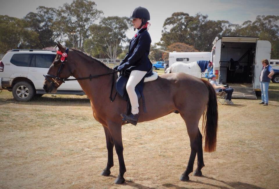 IT'S SHOW TIME: The Young Spring Horse Show will be on this Sunday at the Young Showground.