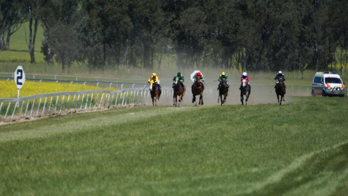 BACK ON TRACK: Young Turf Club received a lot of support and have filled a committee after its extra ordinary meeting on Monday.