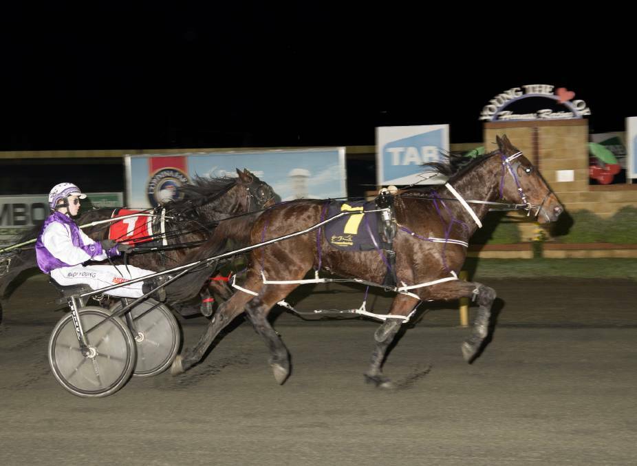 SERIES WINNER: Madi Young driving home a winner in Young. Photo: Martin Langfield.