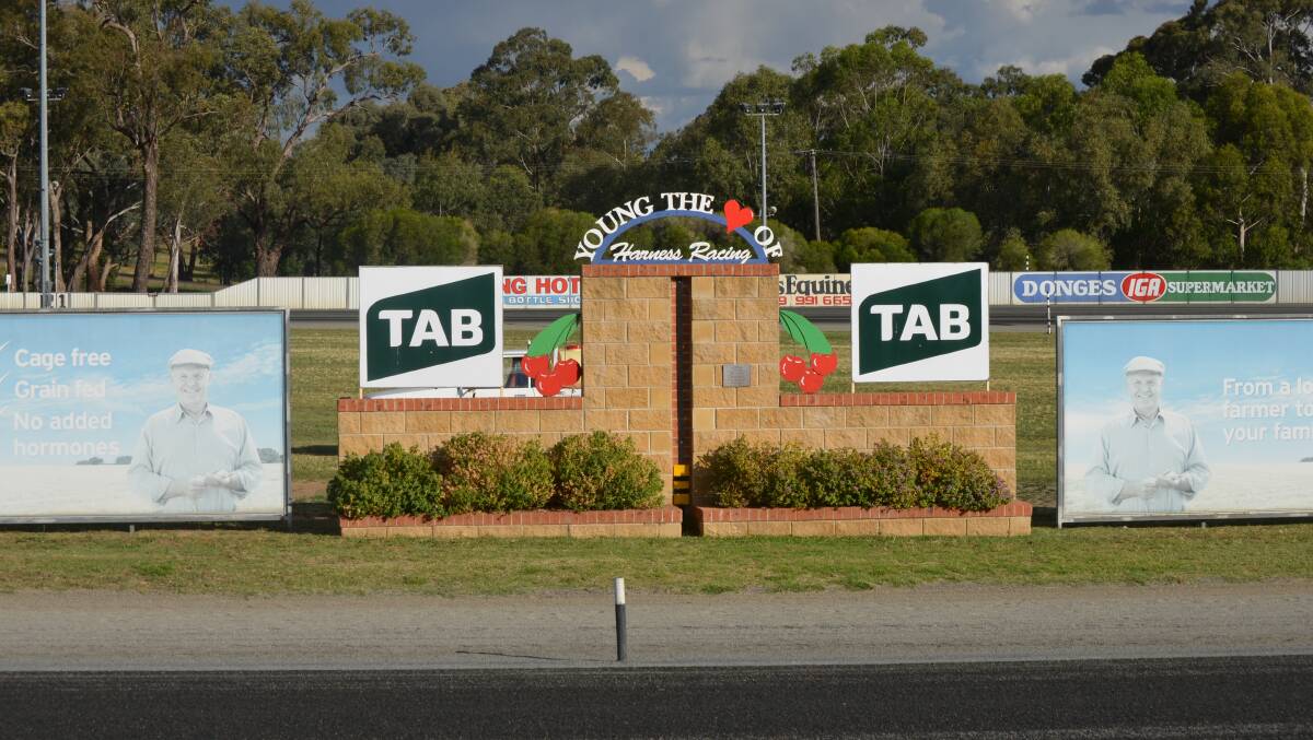 The Young Paceway is in excellent condition allowing horses and drivers to hit some fast speeds. Photo: Rebecca Hewson.