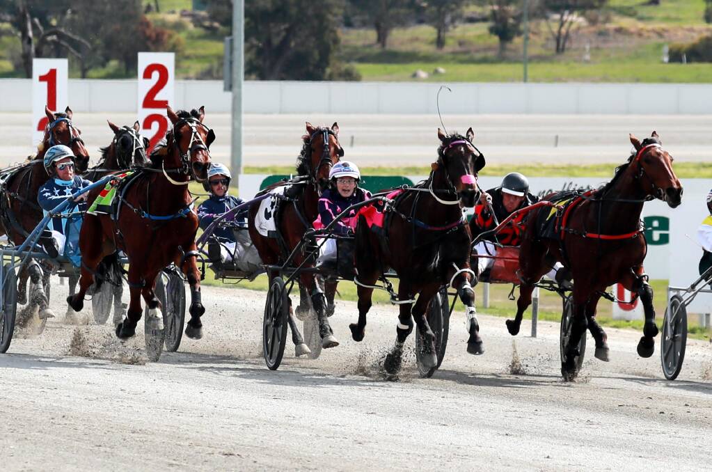 TIGHT FINISH: Ultimate Hughey (centre) keeps his rivals at bay to provide trainer-driver Brooke McPherson with her first win in the gig since the birth of daughter Matilda six months ago at Riverina Paceway on Friday. Picture: Les Smith