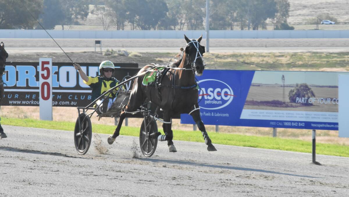 Reinsman Blake Micallef enjoys Billybredone's win on the return to racing at Riverina Paceway on Tuesday. Picture: Courtney Rees