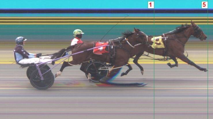 Headturner (inside) holds on to defeat A Perfect Dance at the Riverina Paceway on October 15.