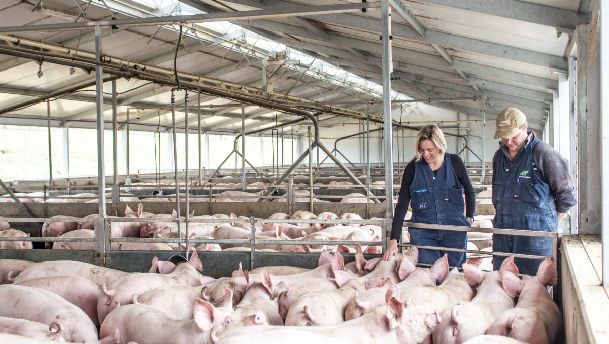 Piggery could generate $7m in revenue for Harden economy | The Young  Witness | Young, NSW