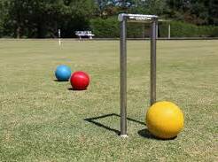 Next Young croquet meeting to discuss the new rules