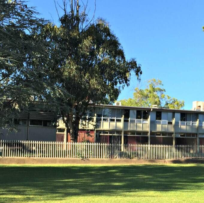 Proposed site: More than 63 per cent of respondents to a Young Witness poll say they do want a joint-use school and community facility partly built on Carrington Park. Photo: Craig Thomson.
