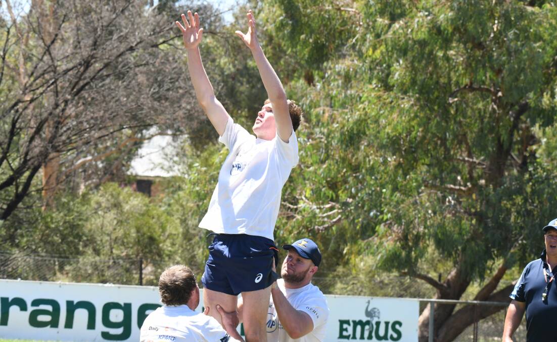 Young's Hamish Kaveney flies high at Central West training on Sunday, he's one head coach Dean Oxley is excited to see in action. Photo: Carla Freedman