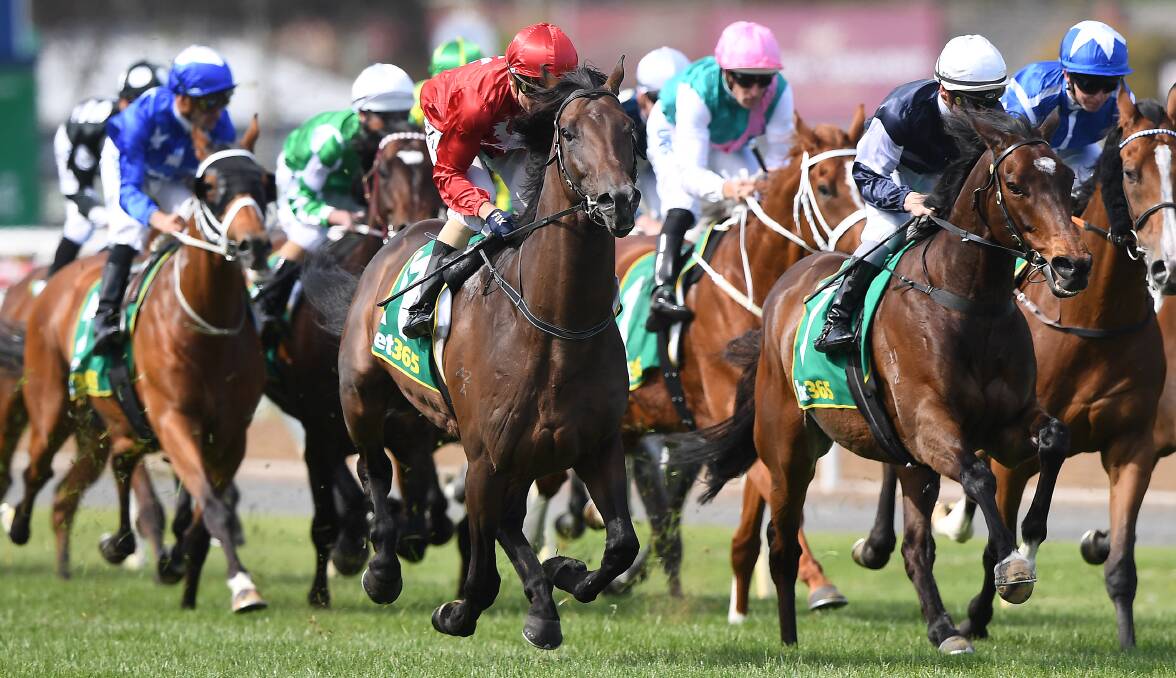 DECENT INDICATOR: Stephen Baster rides Runaway (red silks) to victory in the Geelong Cup. Photo: AAP/JULIAN SMITH