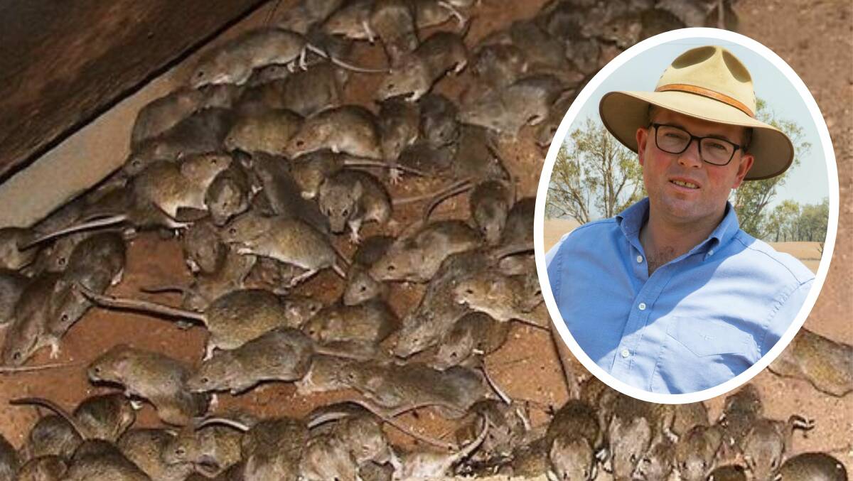 MORE SUPPORT: Minister for Agriculture Adam Marshall (inset) announced extra mice management workshops for farmers battling the plague across the state.