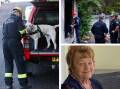 Clockwise from left, a fire dog at the scene in September, crime scene officers at the home on Tuesday and Robyn Hough. Pictures by Peter Lorimer, NSW Police
