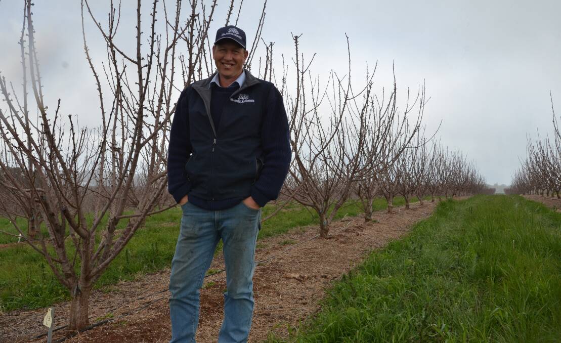 Wombat orchard owner Chris Hall has taken out the 2019 National Carbon Cocky Award for Demonstrated Improvement in Carbon Management in Horticulture or Viticulture. 