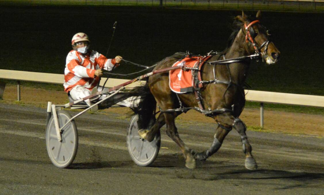 DANGER: Eagle Commander will be one to watch in the first race of the night. Photo: KRISTY WILLIAMS.