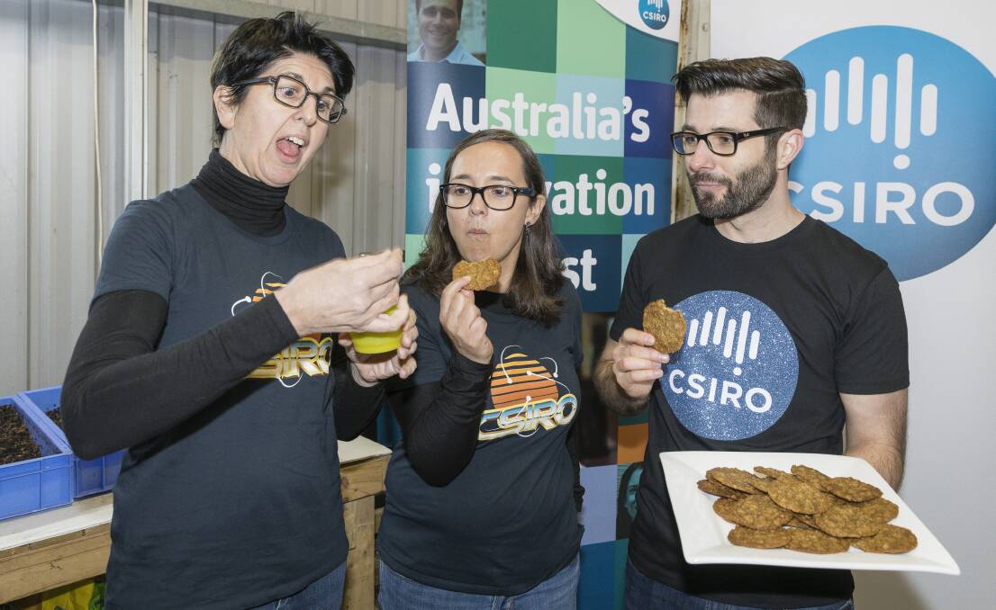 Maggot biscuit, anyone? CSIRO entomologists Dr Cate Paull, Dr Bryan Lessard, and Dr Rocio Ponce Reyes snack on cake and biscuits made using insects. Picture: Sitthixay Ditthavong