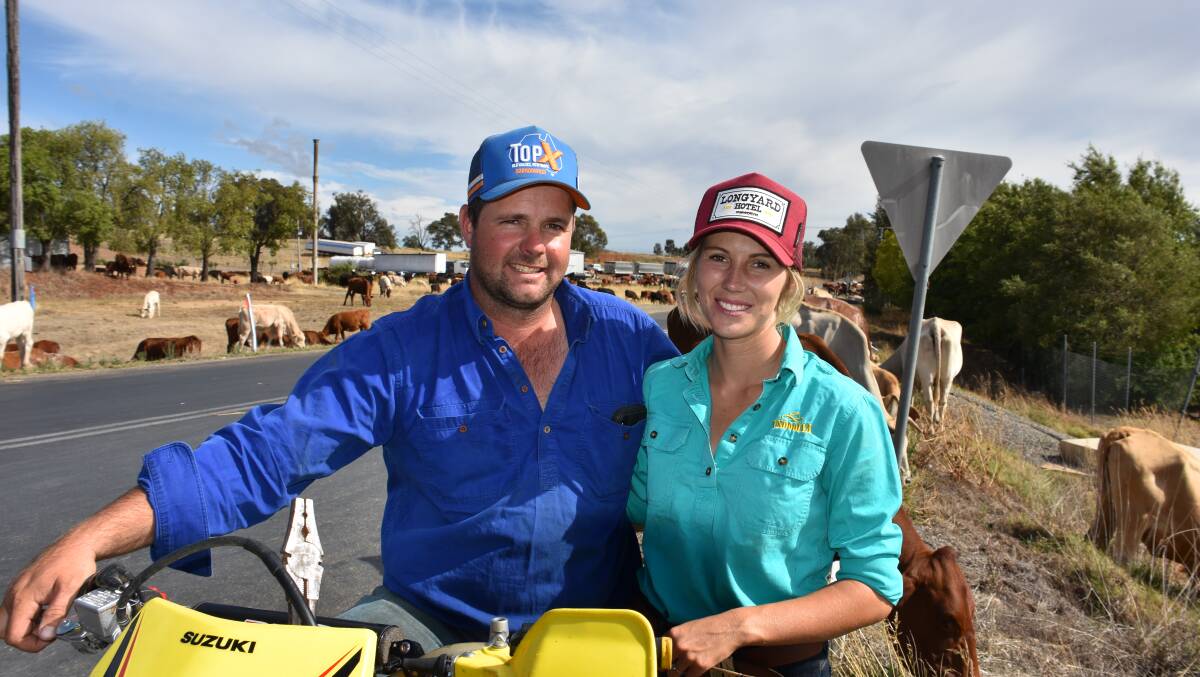 Luke Morris and Nikita Hayes, from Alice Springs, have been on the road since Boxing Day with 600 head of cattle. Photo: Peter Guthrie 