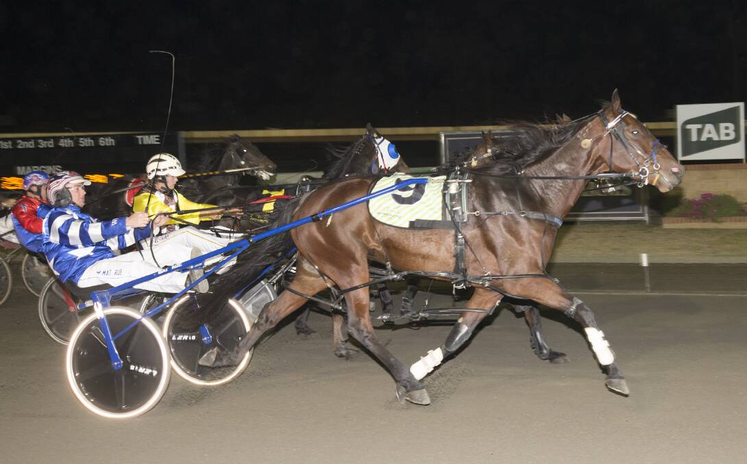 Golden Zara wins at Young late last month for
Monteagle trainer David Micallef and driver Mat Rue. Photo: Martin Langfield