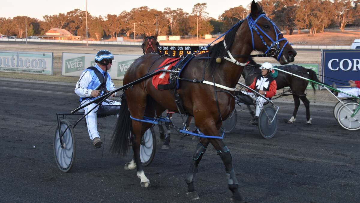 Hart By The Beach made it two in a row for Young trainer Glenn Wilmot. Photo: Peter Guthrie
