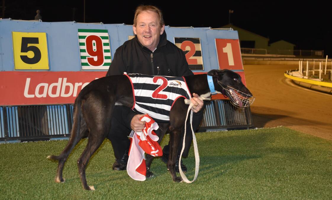 London Tom with handler Graham Sheather following a win at Wagga in August. London Tom on Saturday will be aiming to secure a place in the Young Hotel Final on Boxing Day. Photo: Courtney Rees 