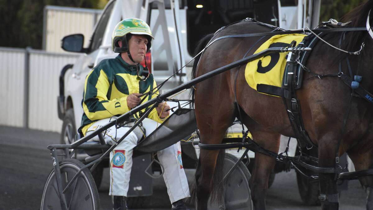 Local driver Blake Micallef has six drives on Friday afternoon as part of the eight-race card at the Young Paceway.