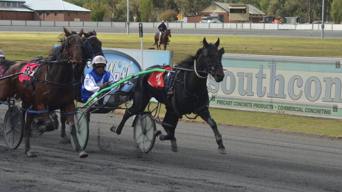 Photos from the Young Paceway