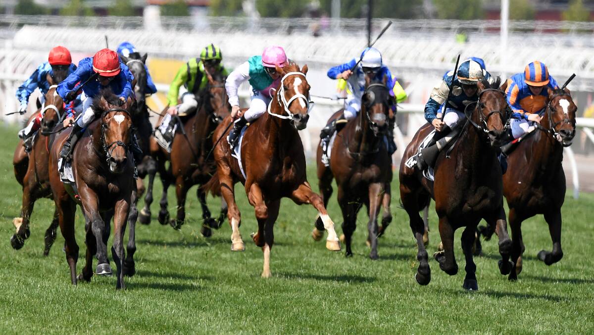 Youngstar (far left behind winner Cross Counter) runs sixth in the Melbourne Cup. Photo by AAP/DAN HIMBRECHTS
