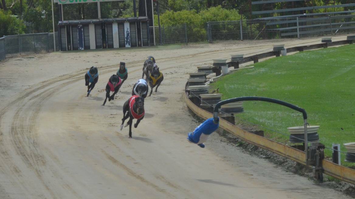 Racing returns to Alfred Oval on Saturday. Photo: file
