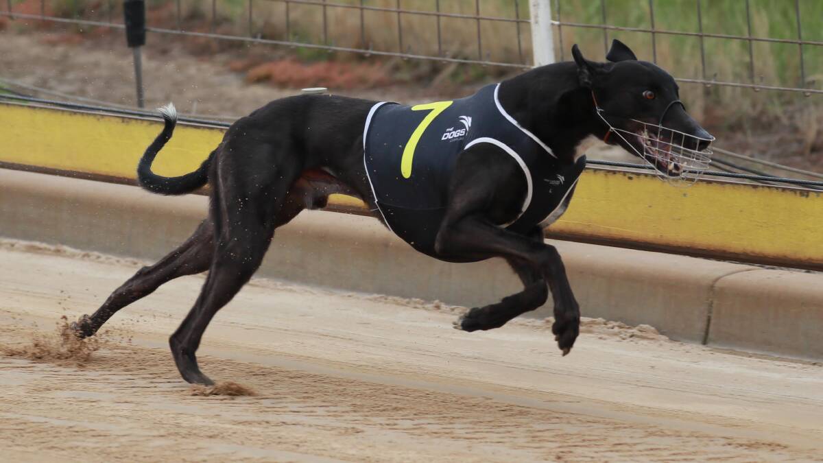 Speaking Spanish triumphed at long odds last Sunday to secure a place in the Temora Cup Final.