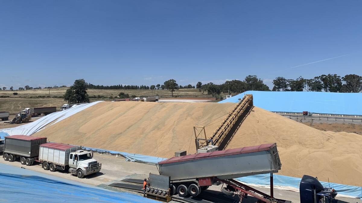 GrainCorp's Cunningar site is one of many across the region that recorded a record harvest season. Photo: contributed 