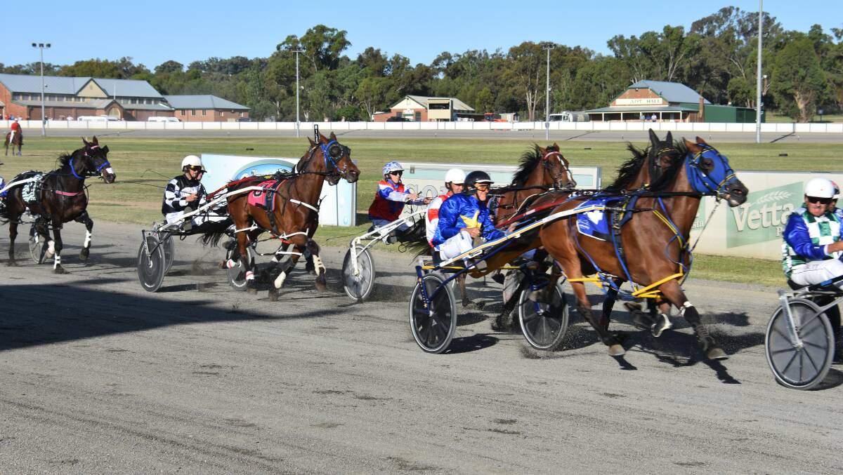 Racing is at Young Paceway this Friday night. Photo: file