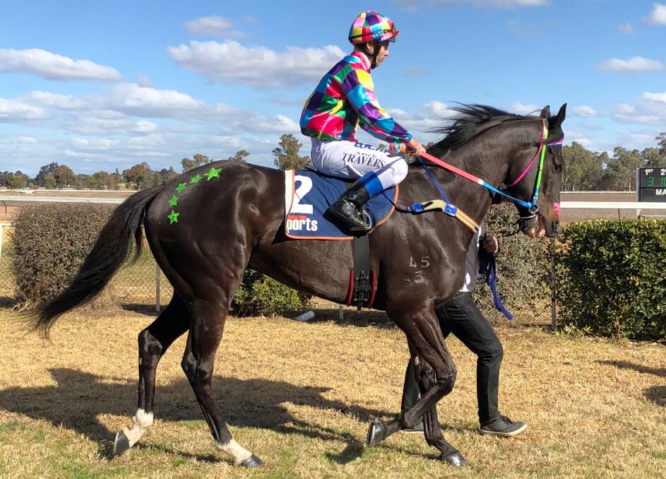 Trainer John Rolfe has prepared Burrangong for a tilt at Saturday's 2019 Burrangong Picnic Cup. The horse was bred at Bowness Stud, Young and named by local thoroughbred breeder John North.