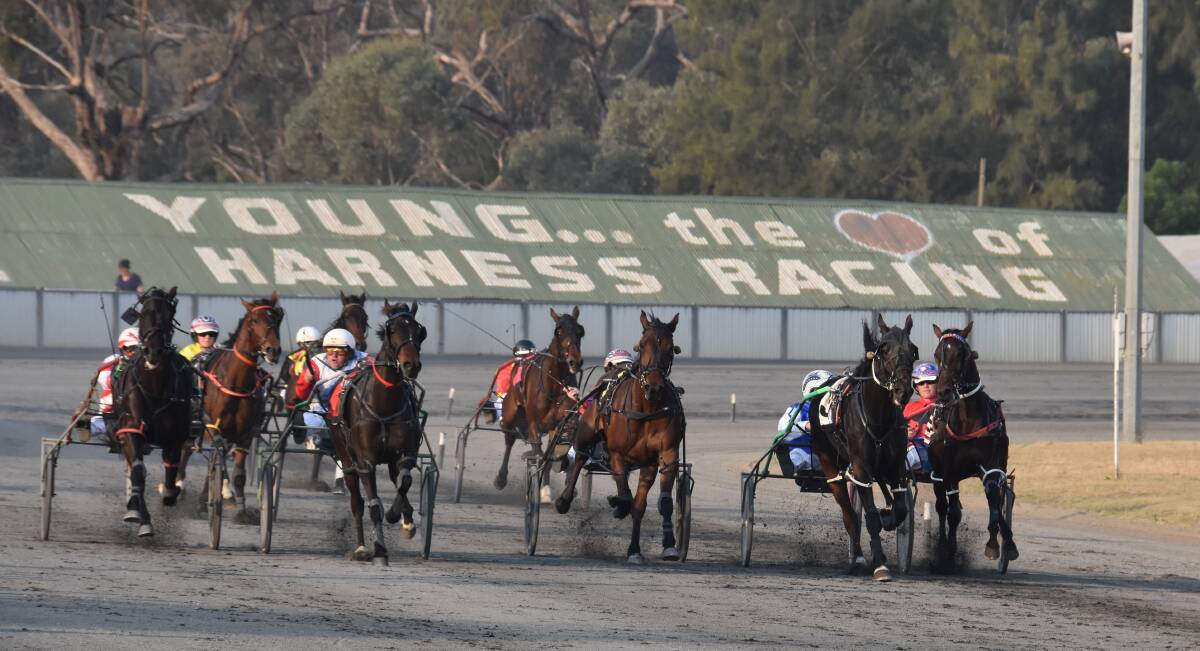 Racing at Young Harness Racing Club last year. Photo: file