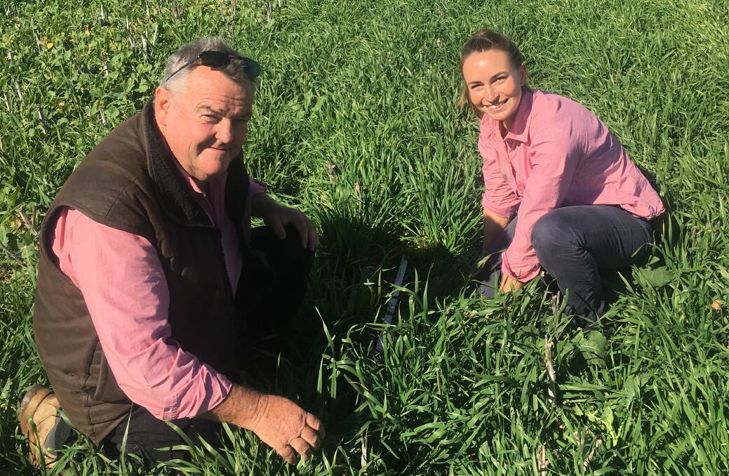 Elders agronomists Michael Marchant and Imogen Hickey in a paddock of wheat near Bribbaree. Photo: contributed