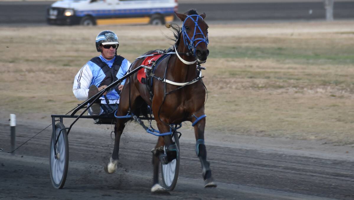 Glenn Wilmot drives Hart By The Beach to her maiden victory at Young Paceway on Tuesday night. He finsihed with a double when Rock This Way saluted in the fifth. Photo: Peter Guthrie