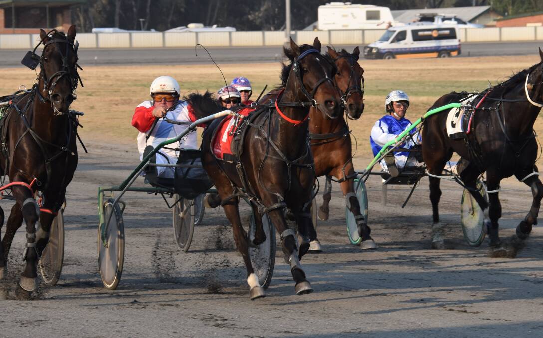 Young trainer-driver John Vautin drivers Bold Western to victory at Young Paceway on Tuesday night. Photo: Peter Guthrie