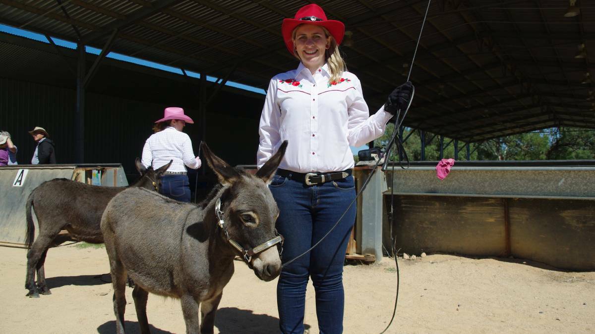 A show entrant last year with her miniature donkey.