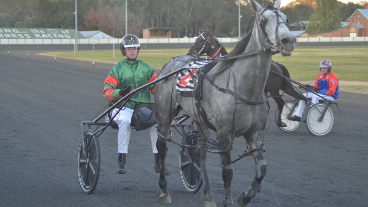 Jordan Seary drove Brobenah Boy, pictured, to victory in the Hilltops Equine Centre Pace (2100m) for trainer Guy Retallick. Later, Blake Hewitt drove Thatswhatisaid to a new track record over 1720m.